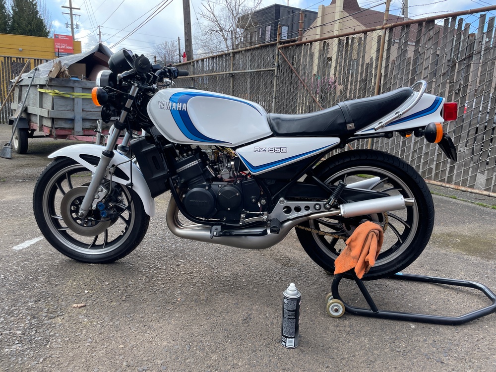 vue de profil gauche