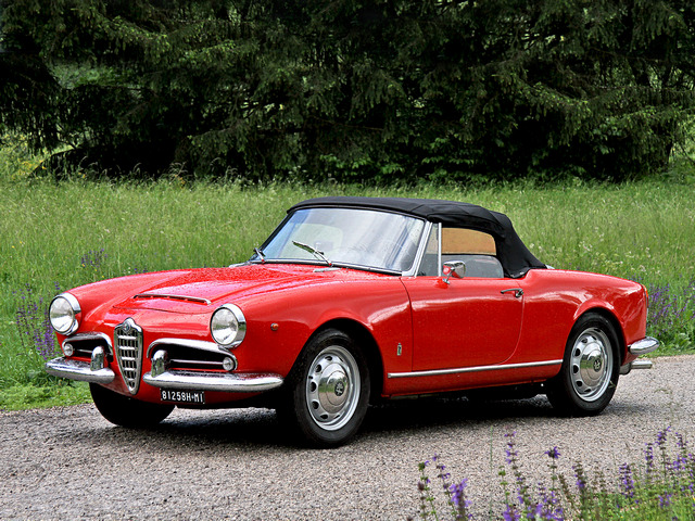 une Alfa Romeo Giulia 1600 Spider (101.23) 1962–1965