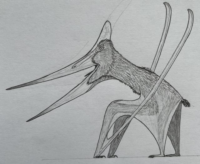 un Pteranodon dessiné