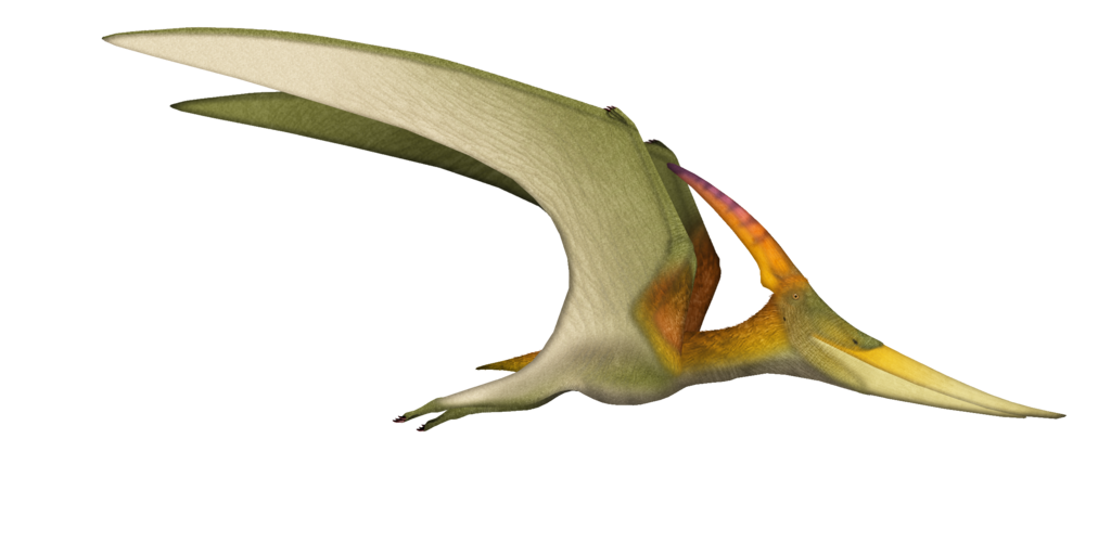 un Pteranodon longiceps