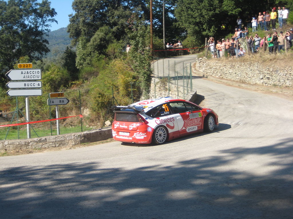 Rallye de France 2008, jour 2, SS10, Urmo Aava - Citroen C4 WRC